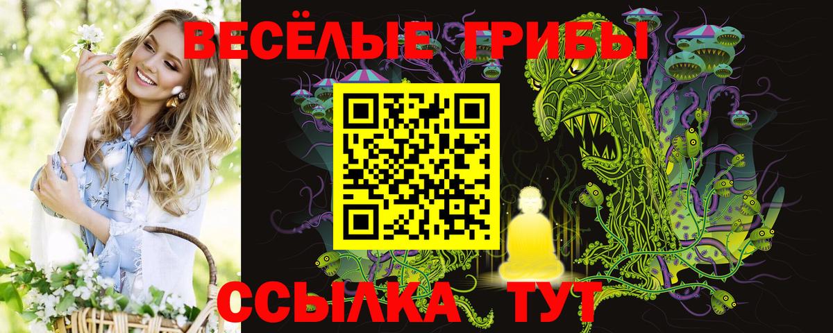 Коркино  Галлюциногенные грибы прущие грибы  Вход с VPN 
